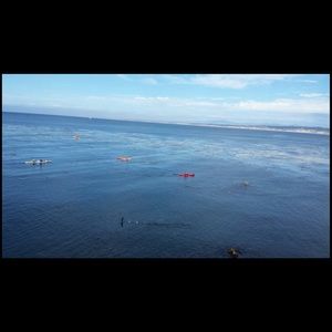 Meet your Posher, Mayra